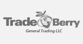Tradeberry General Trading LLC